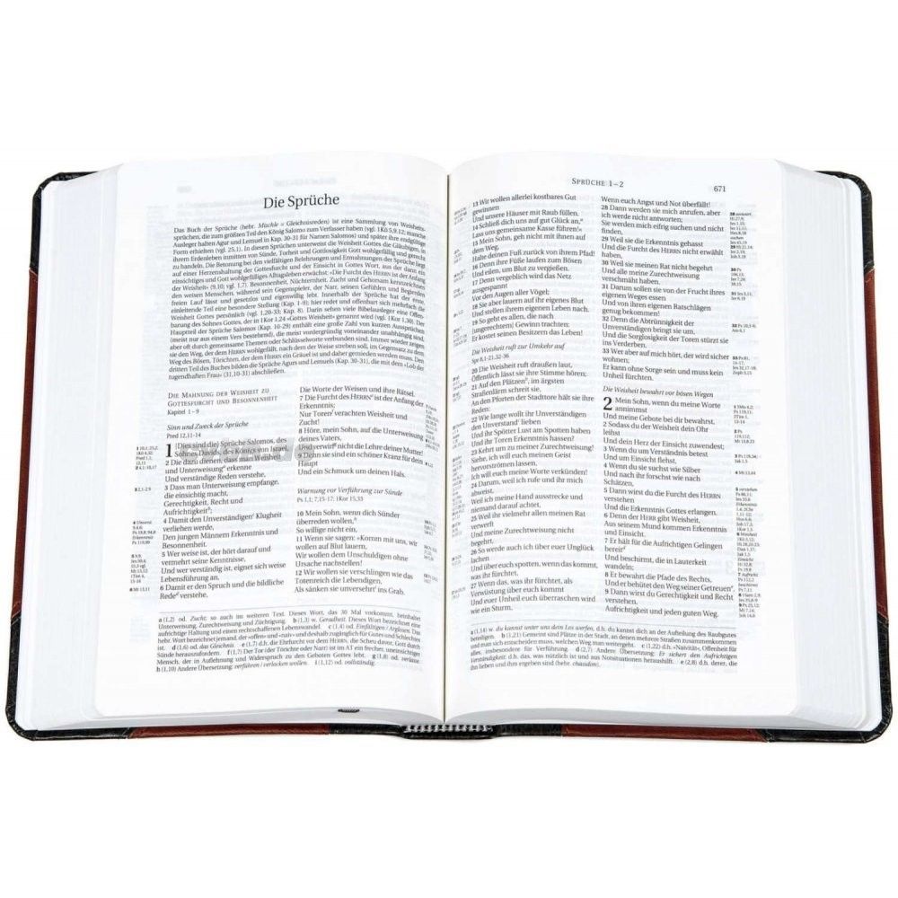 CLV Christliche Literatur-Verbreitung-Bibel, Schlachter 2000, Taschen, grau-braun_2941131_3 CLV Christliche Literatur-Verbreitung-Bibel, Schlachter 2000, Taschen, grau-braun_2941131_