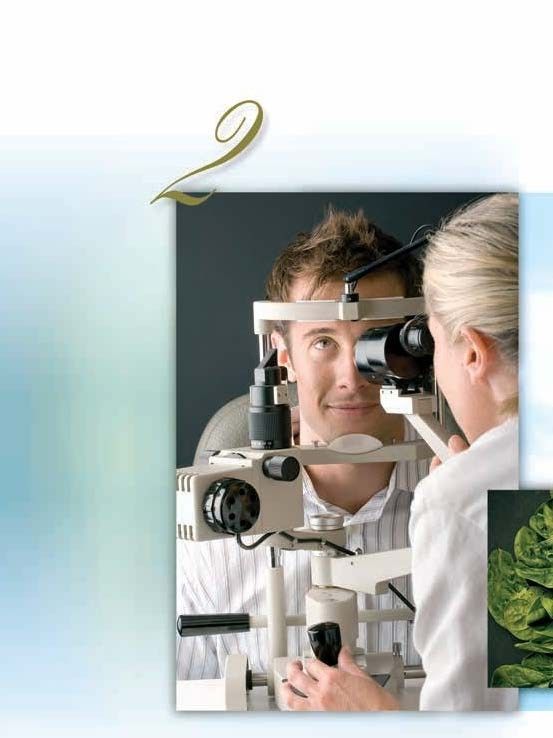 Advent-Verlag Schweiz-Heilkräfte der Nahrung _2210176_8 Advent-Verlag Schweiz-Heilkräfte der Nahrung _2210176_