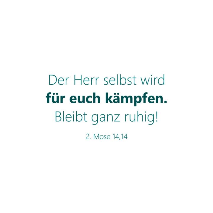 Brunnen Verlag-Für Gott sind alle Dinge möglich - Textkartenbox_4942853_2 Brunnen Verlag-Für Gott sind alle Dinge möglich - Textkartenbox_4942853_
