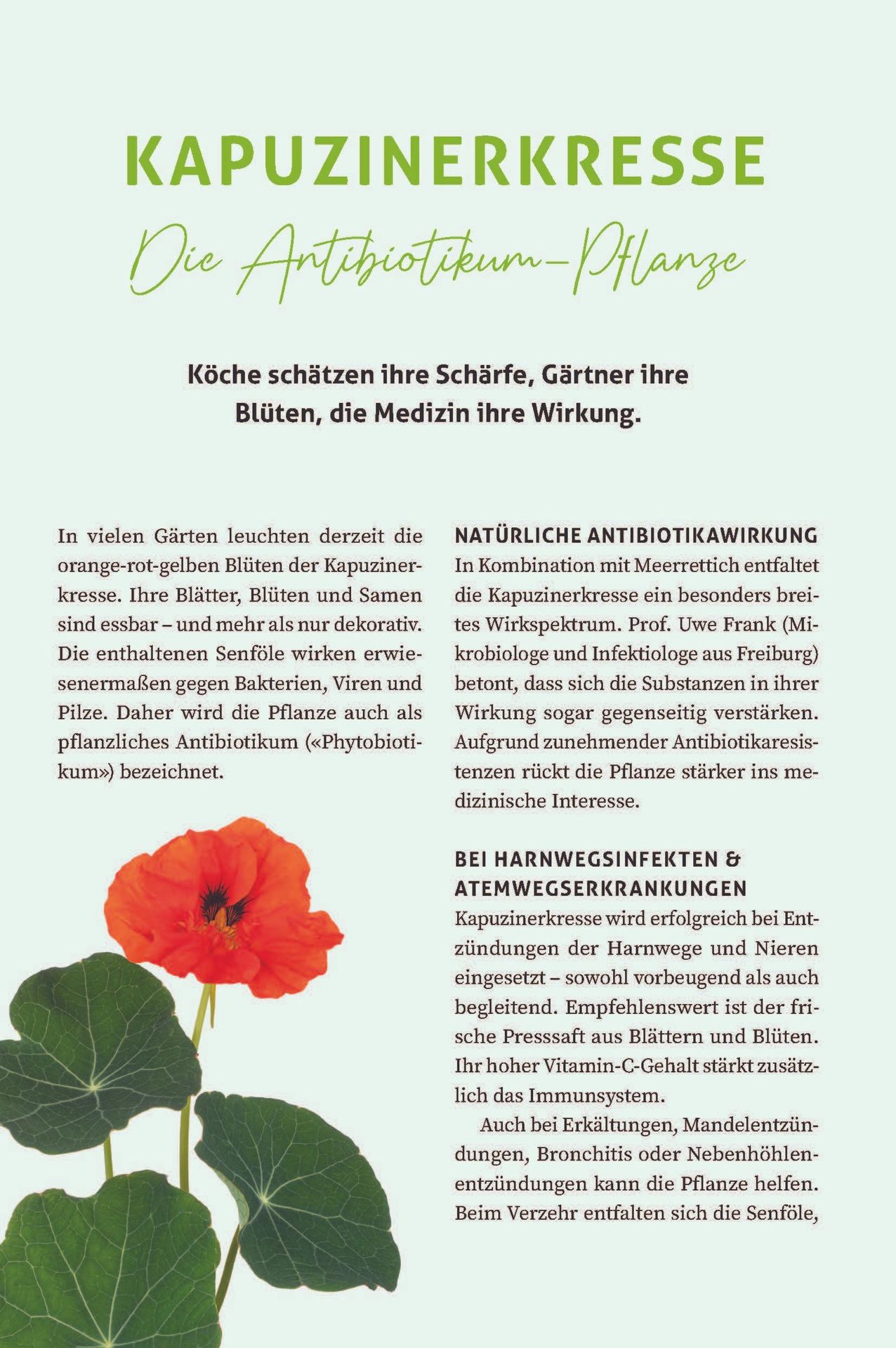 Advent-Verlag Schweiz-Leben & Gesundheit - Unser wertvollstes Gut, 10er-Pack_2212801_