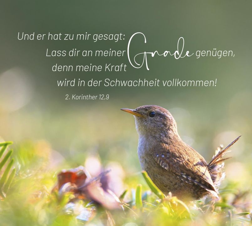 Bolanz Verlag-Geborgen in Gottes Hand - Aufstellbuch_2943045_