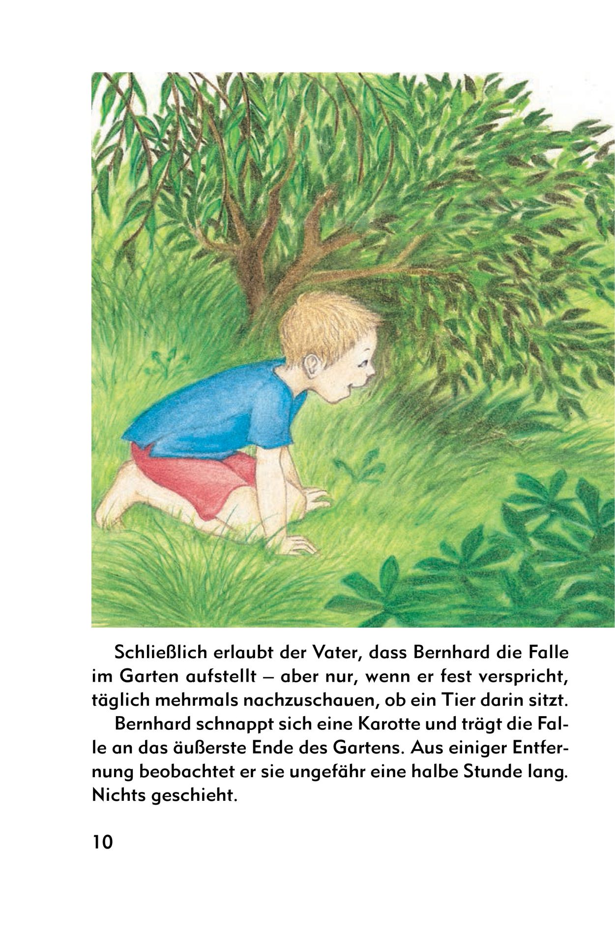 Advent-Verlag Schweiz-Meine Geschichtenkiste, Band 2_2210232_