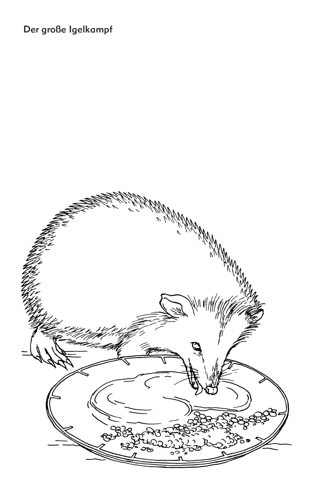 4210237_9.jpg