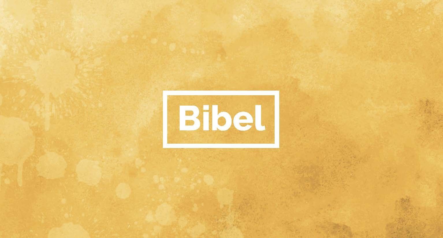 Advent-Verlag Schweiz-Bibel.pur, Kartenset_4941078_