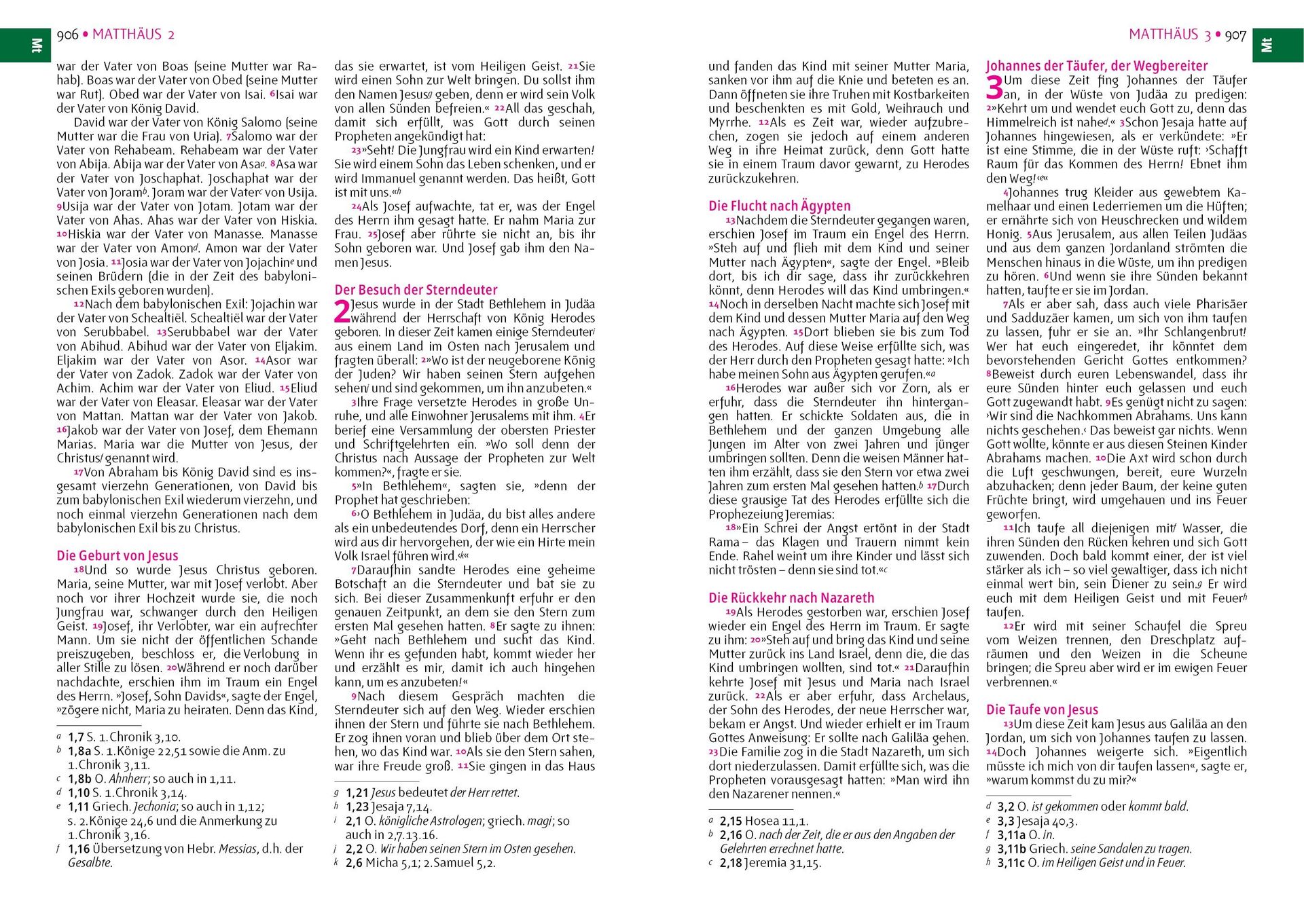 Editorial Safeliz S.L.-Bibel, Neues Leben, Pfadfinder, Taschen, pink-gelb_2422596_