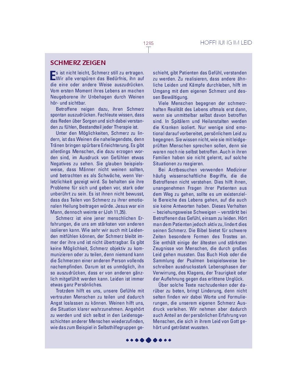 Advent-Verlag Schweiz-Bibel, Neues Leben, HOPE BIBEL, Standard, rot-weiss-blau_2412635_22 Advent-Verlag Schweiz-Bibel, Neues Leben, HOPE BIBEL, Standard, rot-weiss-blau_2412635_