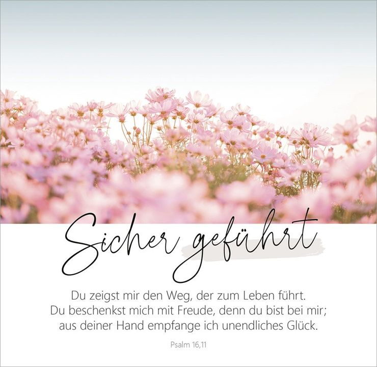 Gerth Medien-Wunderbar gemacht - Aufstellbuch_2942769_6 Gerth Medien-Wunderbar gemacht - Aufstellbuch_2942769_