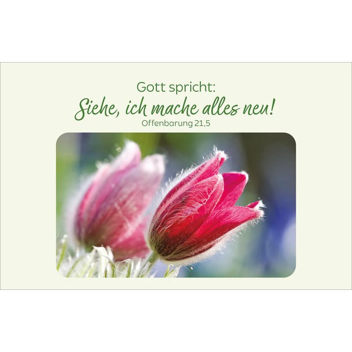 Kawohl Verlag-Blütenreiche Bibelverse_4943038_3 Kawohl Verlag-Blütenreiche Bibelverse_4943038_