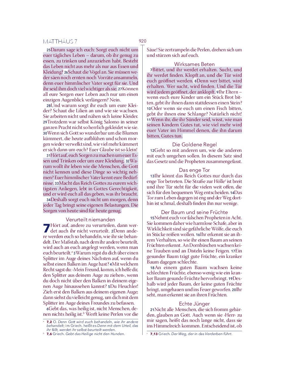 Advent-Verlag Schweiz-Bibel, Neues Leben, HOPE BIBEL, Standard, rot-weiss-blau_2412635_