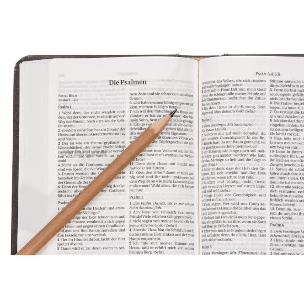 CLV Christliche Literatur-Verbreitung-Bibel, Schlachter 2000, Miniatur, Hardcover, grau_2941779_
