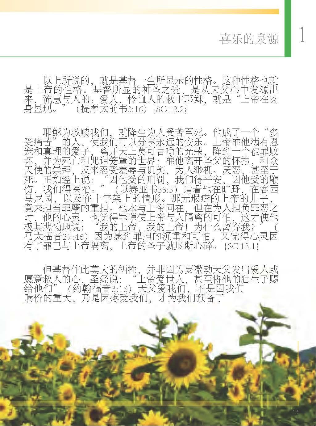 Editorial Safeliz S.L.-Der rettende Weg, Chinesisch_2441490_