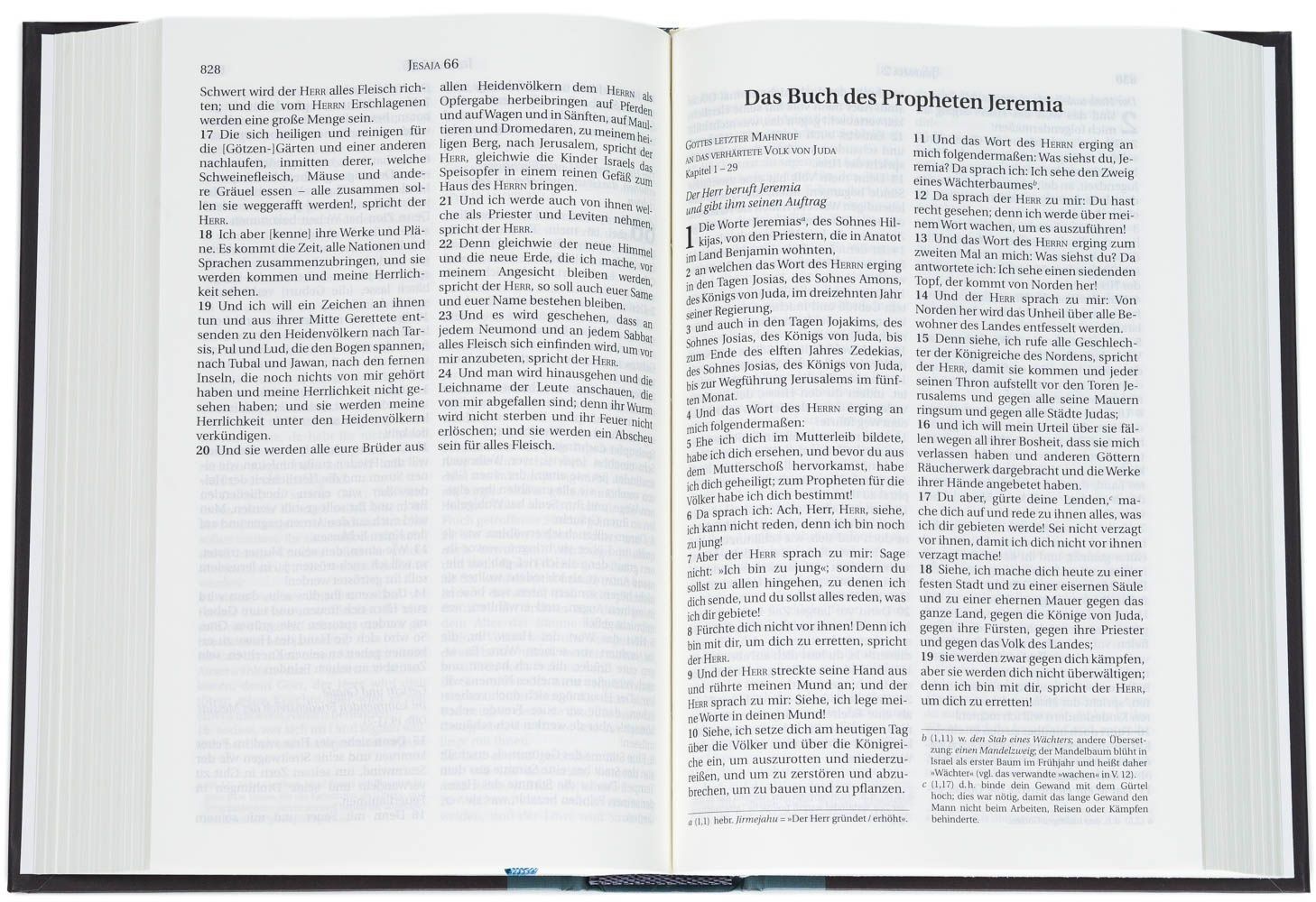 CLV Christliche Literatur-Verbreitung-Bibel, Schlachter 2000, Taschen, grau-grün_2942018_