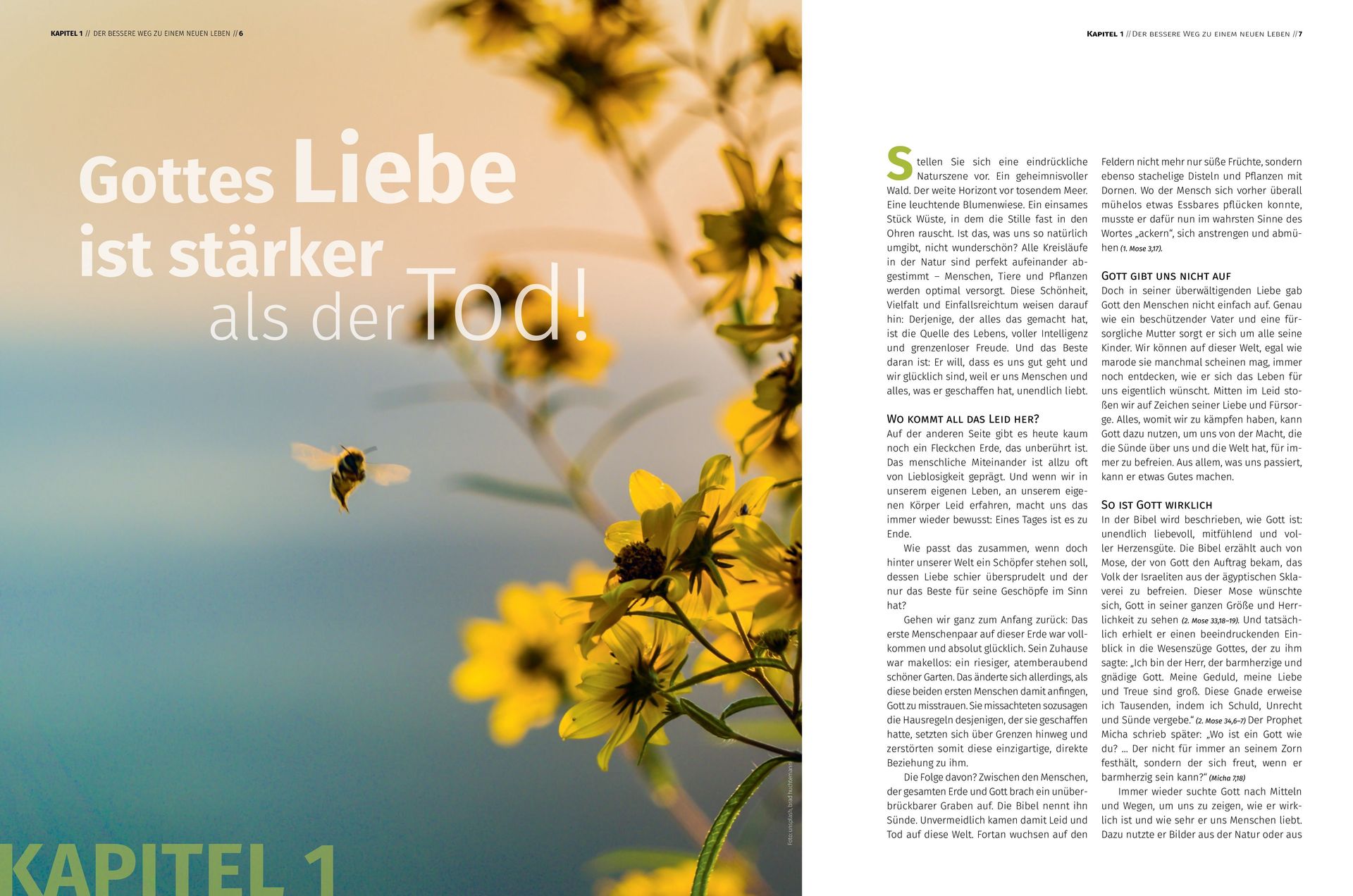 Advent-Verlag GmbH-Der bessere Weg, Magazin_2421114_2 Advent-Verlag GmbH-Der bessere Weg, Magazin_2421114_