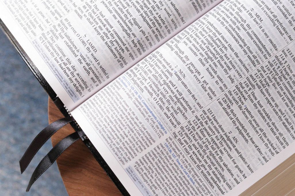 Oklahoma Academy Publishing-Bibel, Englisch, Mission Study Bible, KJV, Softleder blau-grau (Sapphire)_2541623_8 Oklahoma Academy Publishing-Bibel, Englisch, Mission Study Bible, KJV, Softleder blau-grau (Sapphire)_2541623_