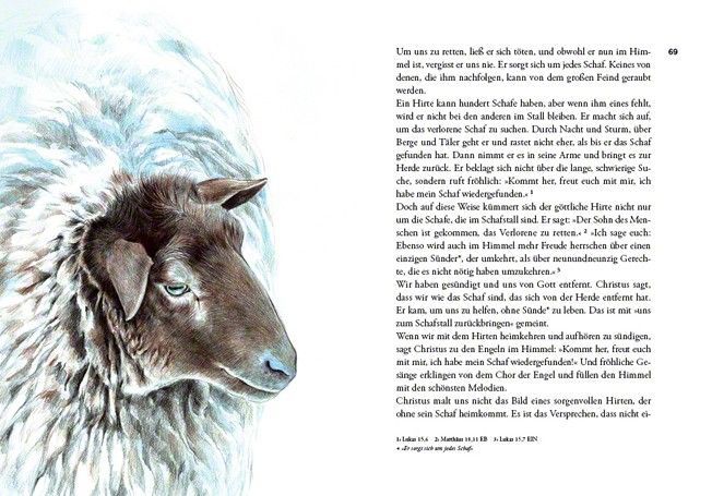 KOKKO Verlag-Die Geschichte von Jesus für Kinder erzählt_2440094_